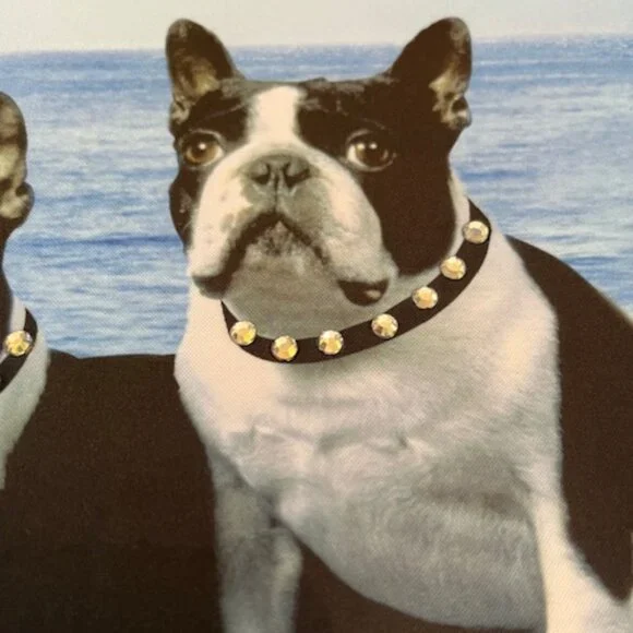 BOSTON TERRIERS | Print hand bag with Rhinestones-EUC - Picture 11 of 16